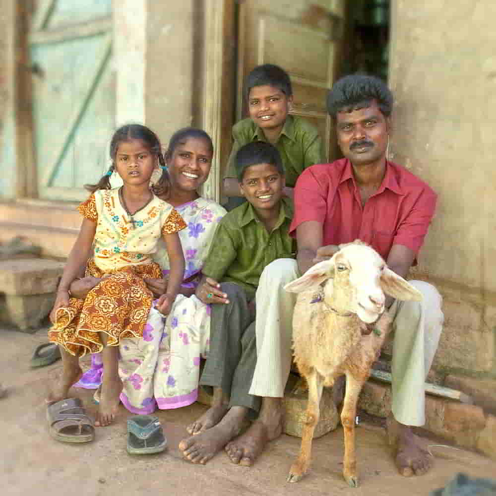 A family can be lifted from poverty through the income generating gift of a goat