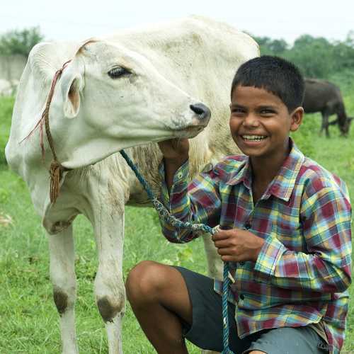 The family of this young boy received an income generating gift of a cow from GFA World