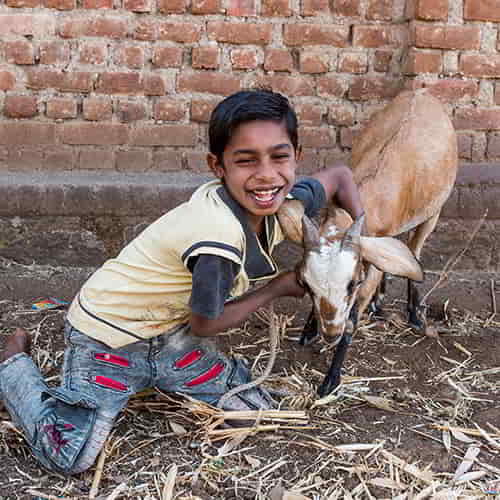 Income generating animals like a goat that Taden's family received is one of the 5 ways of GFA World to reduce poverty