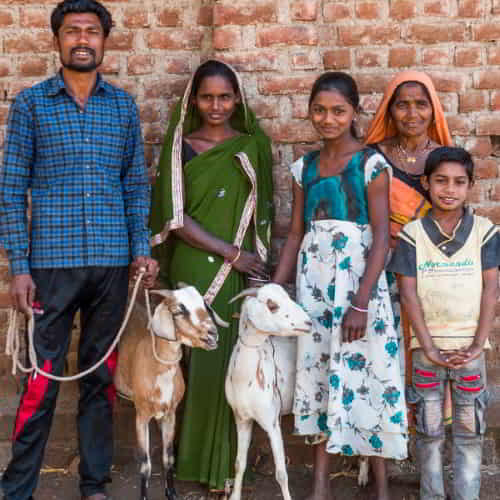 Taden and his family is able to escape from poverty through the gift of GFA world income-generating animals
