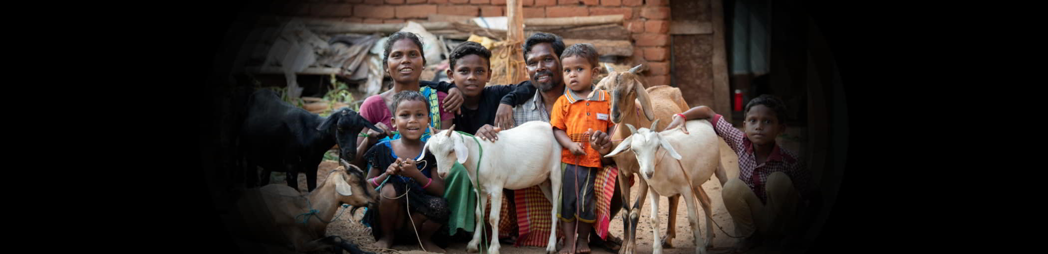 Poverty Alleviation Livestock