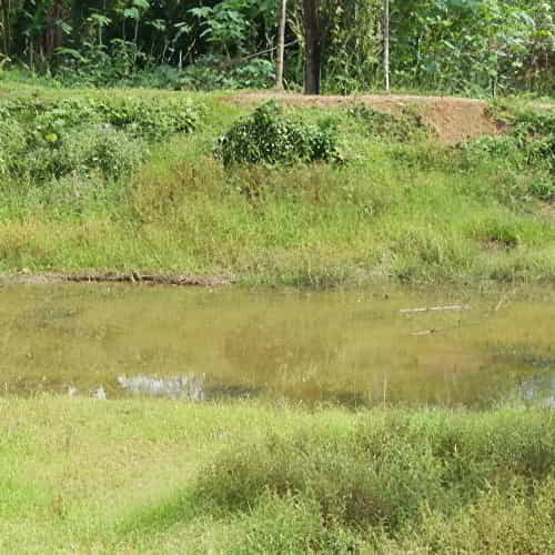 Contaminated water source in Salil's village