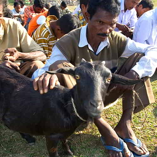 GFA World income generating gift of a goat helps this man and his family escape the cycle of poverty
