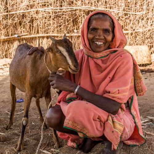 Woman received an income generating gift of a goat through GFA World Christmas Catalog