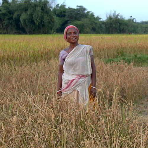 Woman in poverty standing in a field