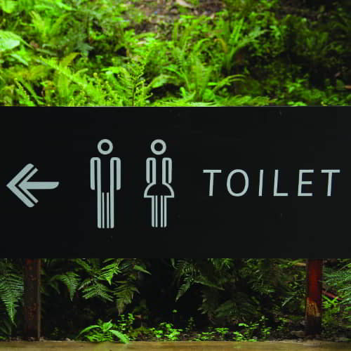 More access to public toilets lead to sanitation progress