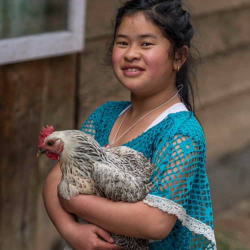 GFA World income generating gifts of farm animals like chickens is one of the solutions to child slavery