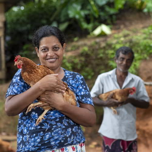 Family received an income generating gift of a chicken through GFA World