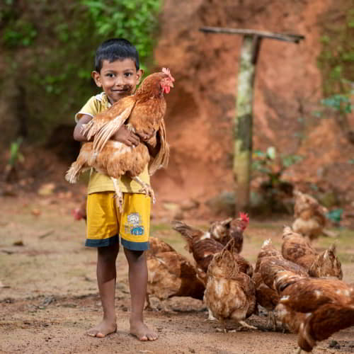 GFA World income generating gifts of farm animals like chickens help fight child labor in Asia and Africa