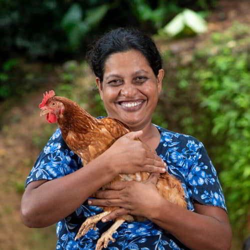 GFA World income generating gifts of chickens help break generational poverty