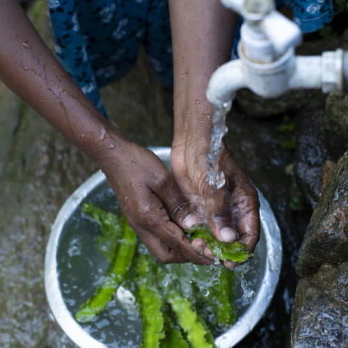 Washing food through clean water from GFA World Jesus Wells