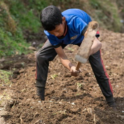 Children living in poverty are forced to a life of child labor