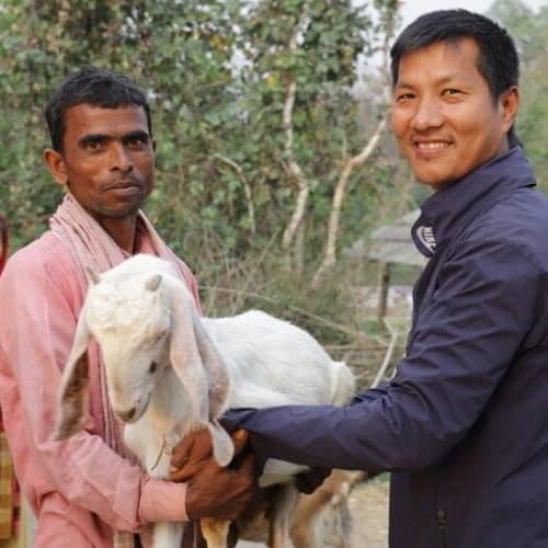 Income generating gift of goats through GFA World gift distribution