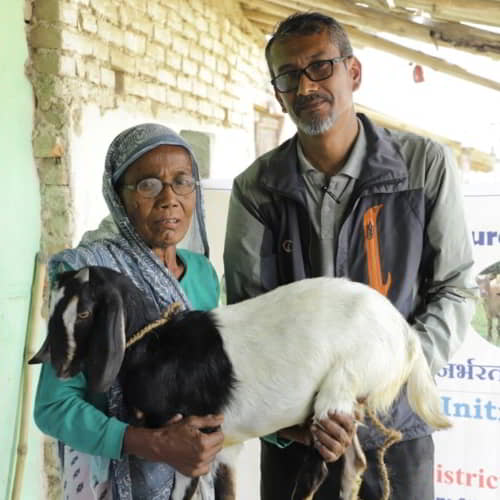 GFA World income generating gifts of farm animals helps bring a solution to poverty meaning