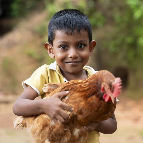 GFA World income generating gifts like chickens helps fight child labor