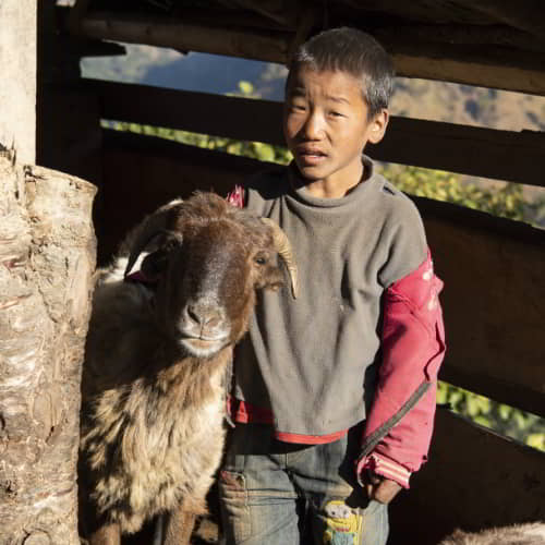 Income generating animals like a goat is one of the 5 ways of GFA World to reduce poverty
