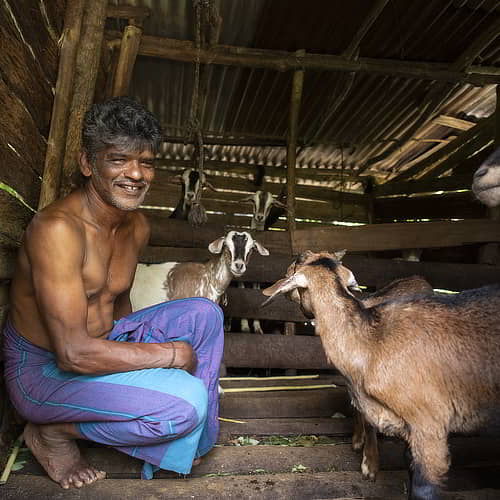 GFA World fights global poverty through income generating gifts like goats