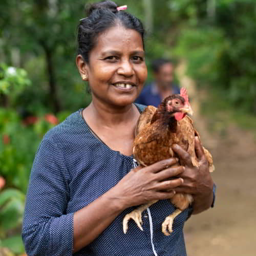 GFA World income generating gift of chickens help fight poverty in Africa