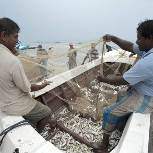 Fishermen struggling against poverty