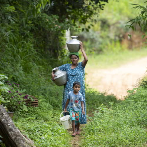 In Asia, women and girls walk long distances to collect water due to water stress
