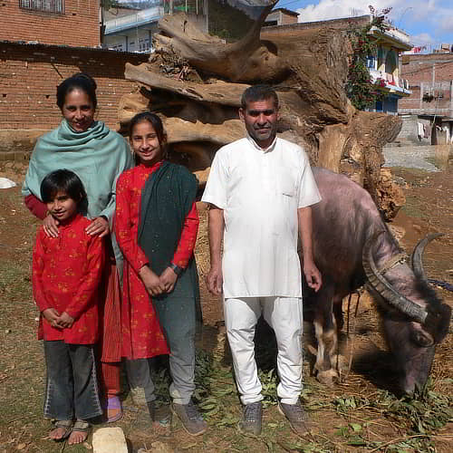 Family in poverty received an income generating animal of a water buffalo through GFA World gift distribution