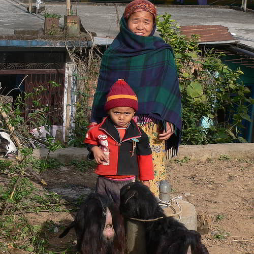 The effects of poverty can be mitigated through income generating animals like goats through the GFA World gift catalog