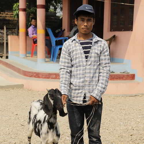 Charitable Christmas gift ideas like goats bless families in poverty