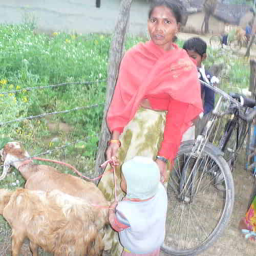 Family in poverty blessed with income generating gifts of goats through GFA World