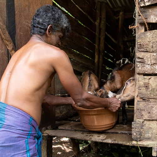 Man in poverty received a gift of goats through GFA World Christmas Catalog