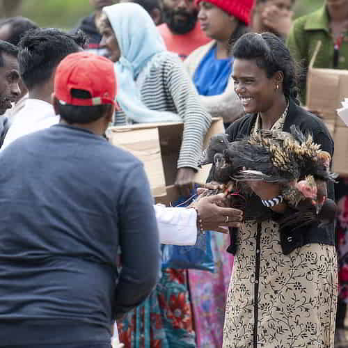 Woman in poveWoman in poverty received income generating gifts of chickens through GFA Worldrty received income generating gifts of chickens through GFA World