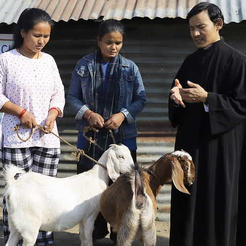 Family in poverty received income generating goats through GFA World Christmas gift distribution