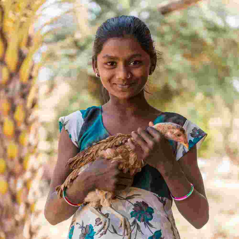 Young girl holding an income generating gift of a chicken from GFA World gift distribution