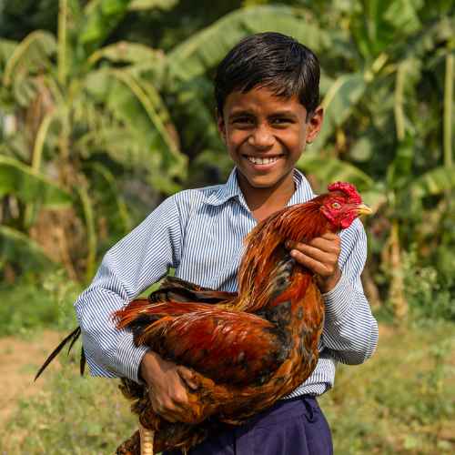 Young boy received an income generating gift of a chicken through GFA World