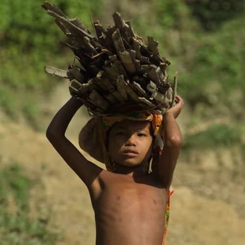 Young boy in child labor gathering sticks