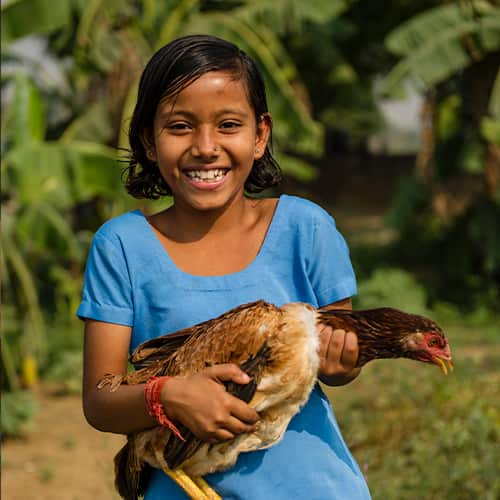 Families can escape poverty through GFA World income generating gifts like a pair of chickens