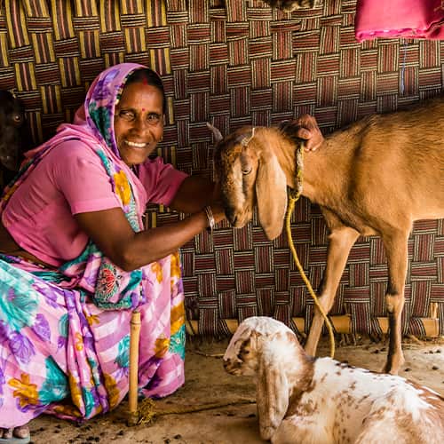 GFA World income generating gift of goats help escape from poverty