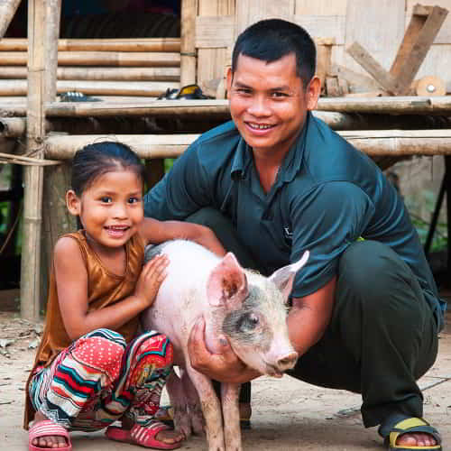 Family in poverty received a little piglet as a Christmas present through GFA World's gift catalog