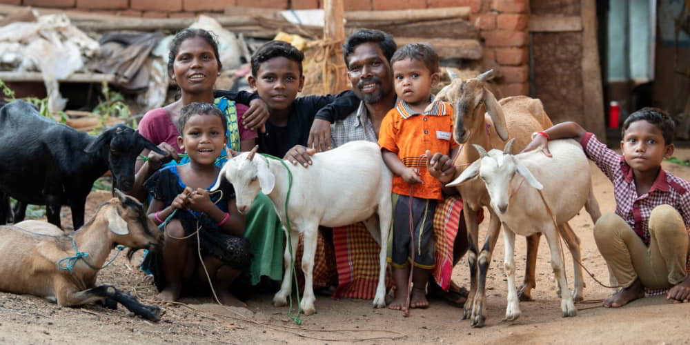 Poverty Alleviation Livestock