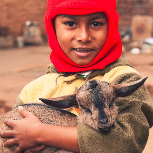Children can escape the effects of poverty through income generating animals like this goat through GFA World
