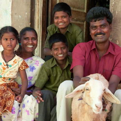 What is the cycle of poverty when a family has income generating opportunities and gifts like farm animals and tools