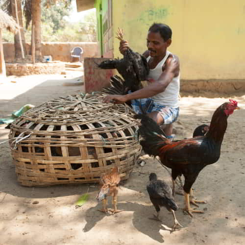 This man was able to start an income generating chicken farm through GFA World gift distribution