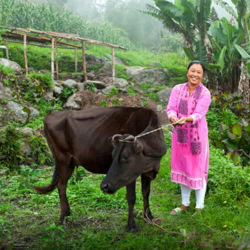 Woman in poverty received an income generating gift of a water buffalo through GFA World gift distribution