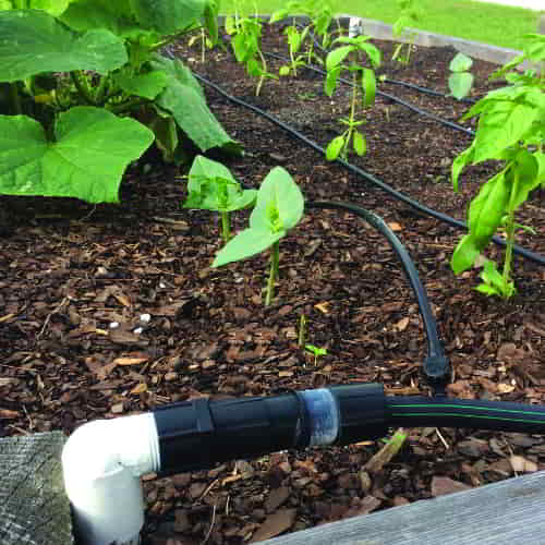Drip irrigation technology
