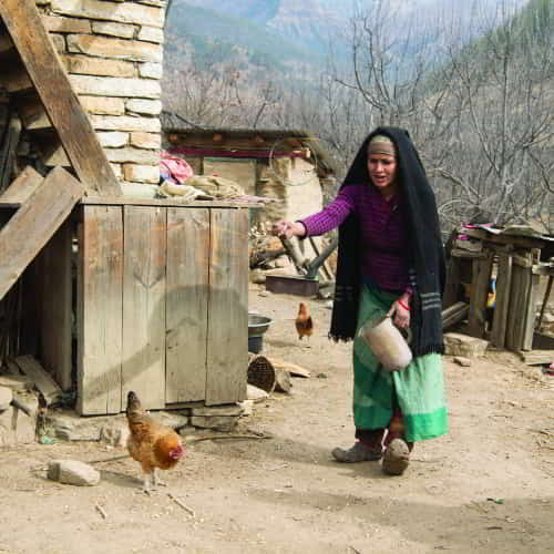 A woman provided with chickens that give her a source of income along with nourishment from fresh eggs