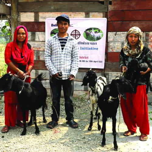A woman blessing others by donating goats through her Church