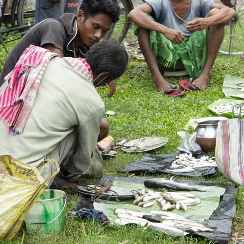 Selling fish despite making little money out of it amid the pandemic