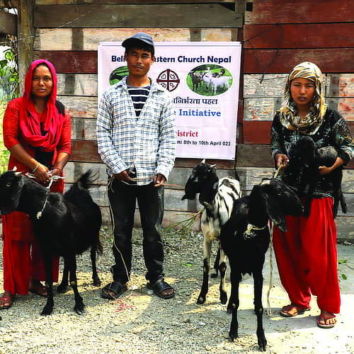 A family received an income generating gift of a goat through GFA World Christmas Catalog