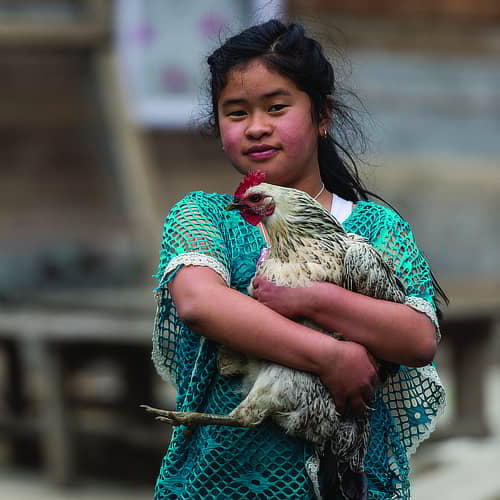 Girl received an income generating gift of chickens through GFA World