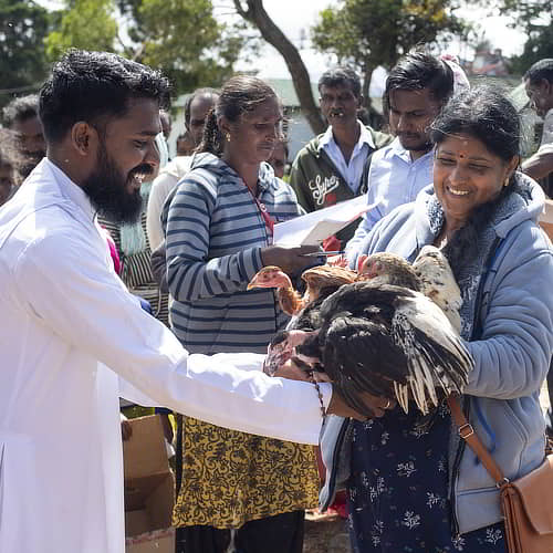 Woman in poverty received an income generating animal of chickens through GFA World gift distribution